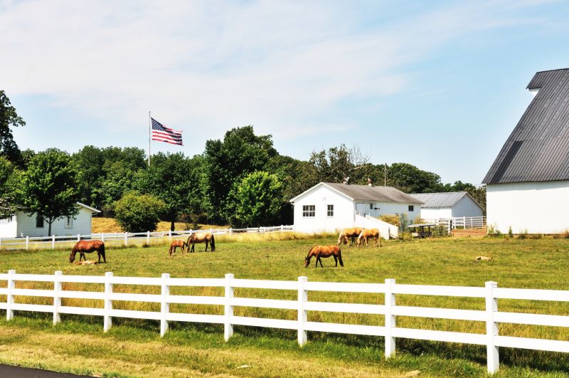 Horse Fence Replacement in South Houston, TX