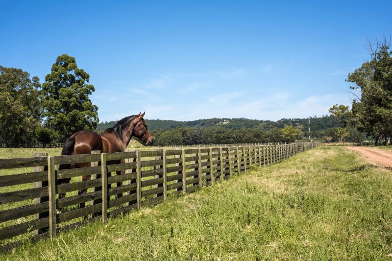 Horse Paddock Installation in Roseville, CA
