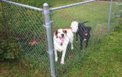 Chain Link Fence Installation!